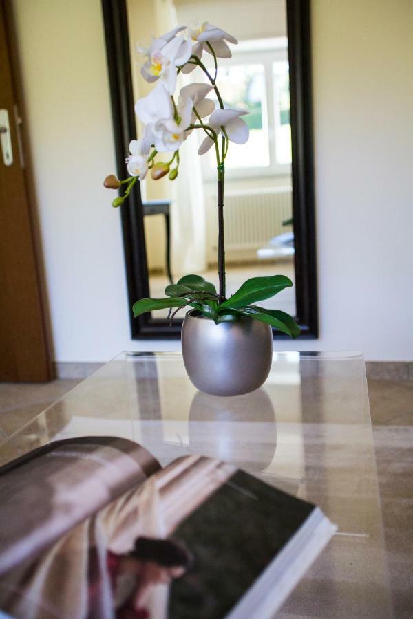 Calathea *